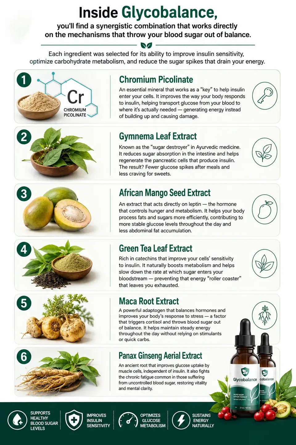 Tall client infographic describing a claimed action for each featured Glycobalance ingredient