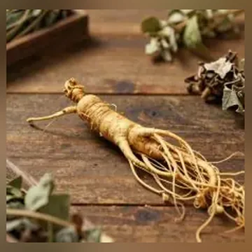 Panax Ginseng Root, one of the extracts named on the Glycobalance label